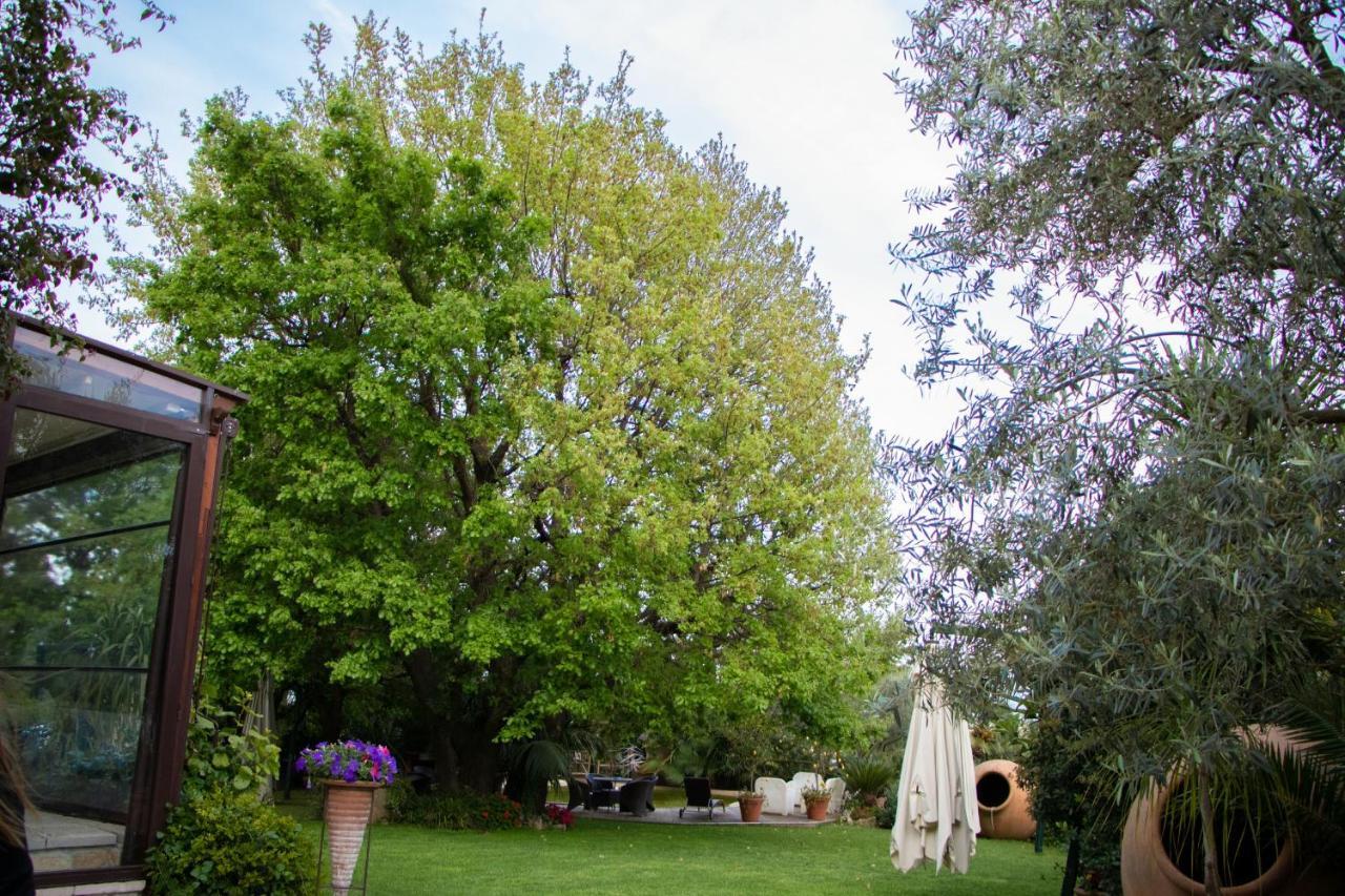 Agriturismo Paradiso Di Barchi Terracina Exterior photo